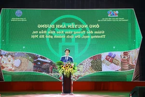 Dan Phuong Festival 2023: Celebrating Agriculture, Culture, and Cuisine - image 2