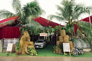 Sustainable Celebrations: A Unique Wedding Decorated with One Ton of Fresh Vegetables - image 3