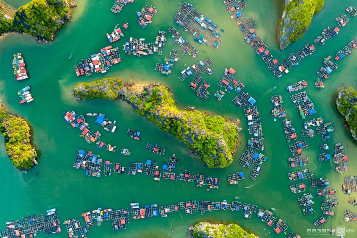 Lan Ha Bay Travel Guide 2024: The Ultimate A-Z Handbook for Adventurers