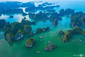 Lan Ha Bay Travel Guide 2024: The Ultimate A-Z Handbook for Adventurers - image 5