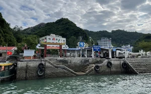 Lan Ha Bay Travel Guide 2024: The Ultimate A-Z Handbook for Adventurers - image 3