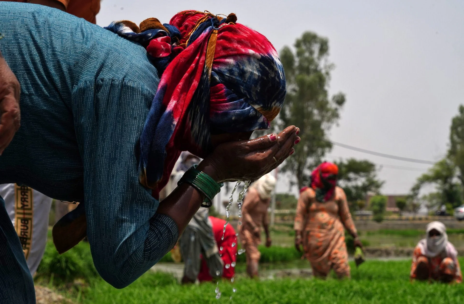 Living Through the Heat: Visual Documentation of India's Record-Breaking Heatwave