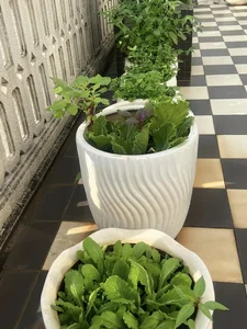 Inside the Luxurious Mansion of the Ageless 53-Year-Old Beauty Queen - image 0