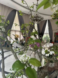 Inside the Luxurious Mansion of the Ageless 53-Year-Old Beauty Queen - image 2