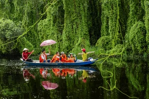 Exploring Long An: A Comprehensive Travel Guide to Vietnam's Mekong Delta Gem - image 3