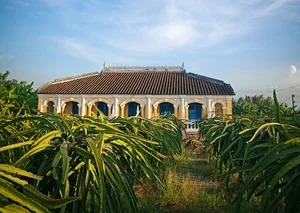 Exploring Long An: A Comprehensive Travel Guide to Vietnam's Mekong Delta Gem - image 6