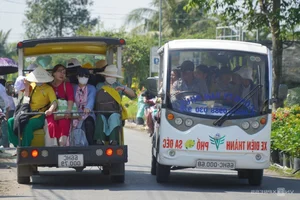 Exploring the Vibrant Sa Dec Flower Village During Vietnam's Tet Festival - image 8