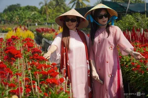 Exploring the Vibrant Sa Dec Flower Village During Vietnam's Tet Festival - image 3