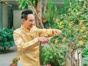 From Scrap Collector to Multi-Millionaire: The Inspiring 800 Billion VND Journey of a Famous Singer - image 6