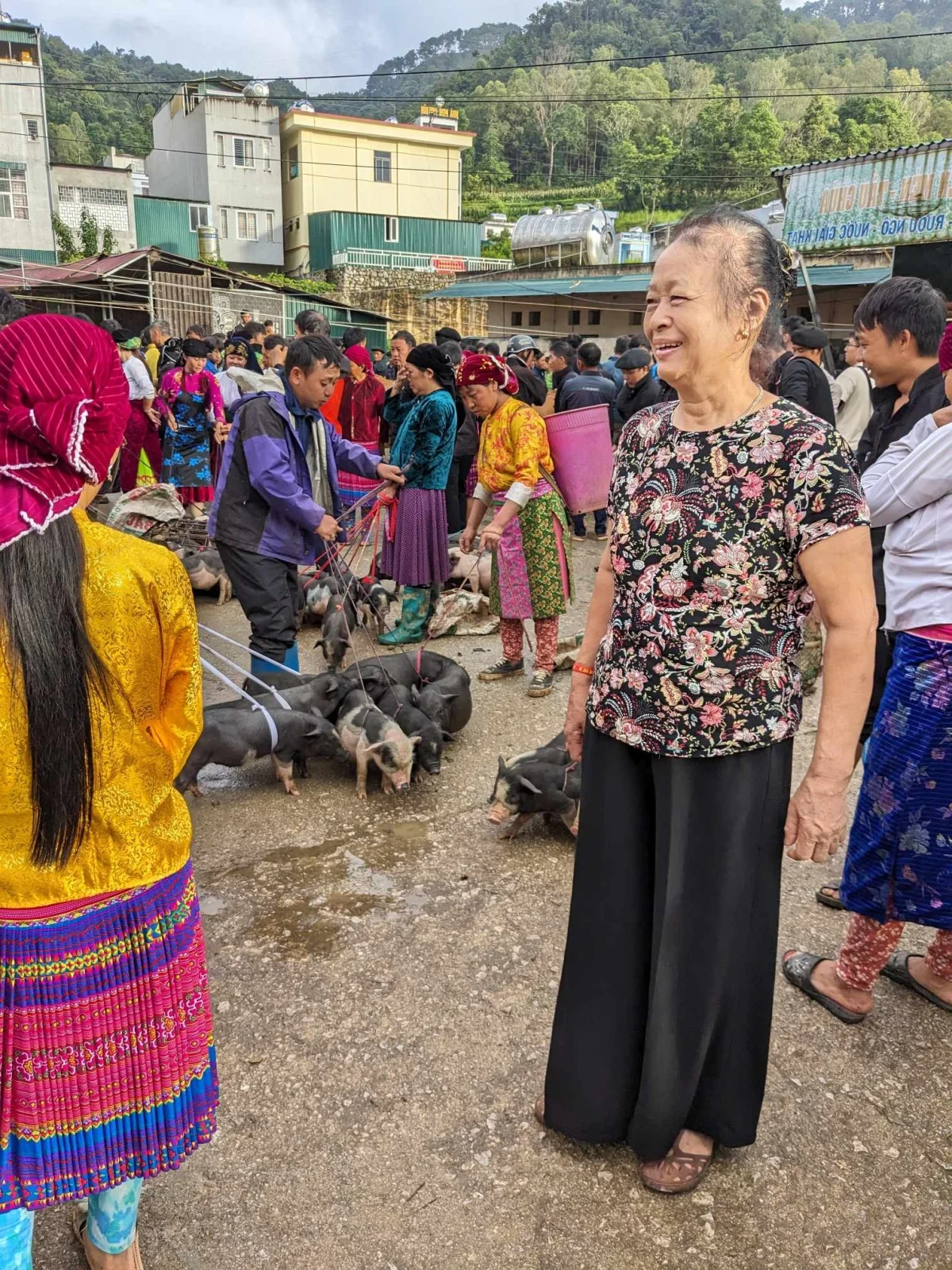 Inspiring Ha Giang Motorbike Adventure with 70-Year-Old Mother