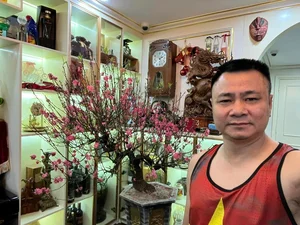 Chiêm ngưỡng không gian biệt thự lộng lẫy của sao Việt đón Tết 2024 - image 7