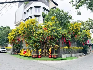 Chiêm ngưỡng không gian biệt thự lộng lẫy của sao Việt đón Tết 2024 - image 4