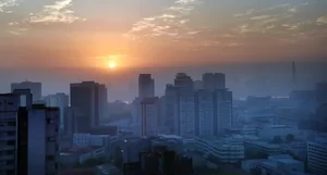 Rare Visual Journey: Captivating Photos of Daily Life in Pyongyang - image 4