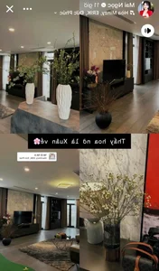 VTV MC Quits Career After Surprise Wedding to Wealthy Heir - image 3