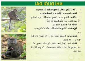 Wildlife Wonders at Vuon Xoai Eco-Tourism: Beyond the Tigers - image 7