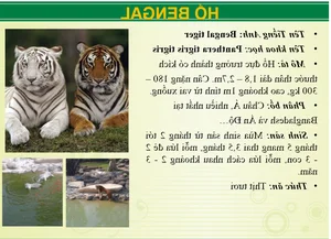 Wildlife Wonders at Vuon Xoai Eco-Tourism: Beyond the Tigers - image 11