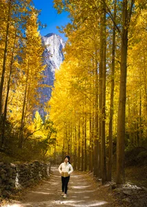 Stunning Autumn Landscapes in Northern Pakistan: A Golden Journey Through Hunza Valley and Beyond - image 0