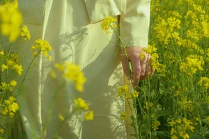 Spring Muse in Rapeseed Fields Nana Kobaya - image 16