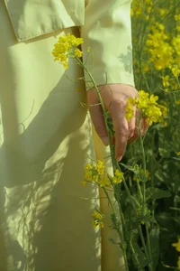 Spring Muse in Rapeseed Fields Nana Kobaya - image 19