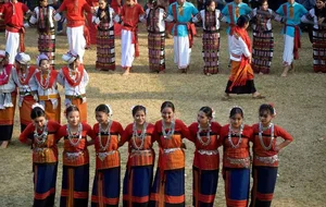 The Sacred Cactus: Understanding the Spiritual Traditions and Unique Identity of India’s Indigenous Tribes - image 5