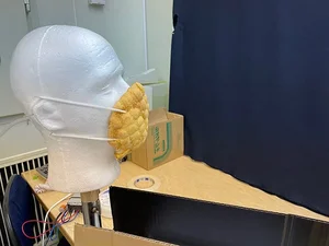 The Edible Melonpan Face Mask: Japan’s Most Delicious and Quirky Innovation - image 7