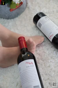 Elegant Holiday Photography: Wanping in IESS Red Wine and Christmas Collection - image 0