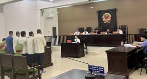 Major Legal Trial in Binh Duong Draws Record Number of Victims and Public Attention - image 5