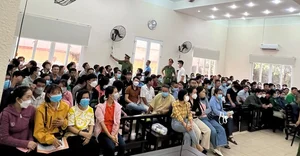Major Legal Trial in Binh Duong Draws Record Number of Victims and Public Attention - image 3