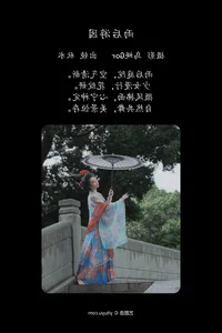 YiTuYu Art Language Vol.4973: Lin Lang and the Art of Sophistication - image 4