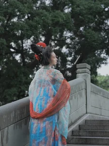 YiTuYu Art Language Vol.4973: Lin Lang and the Art of Sophistication - image 3