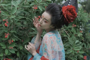 YiTuYu Art Language Vol.4973: Lin Lang and the Art of Sophistication - image 15