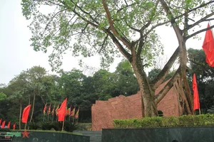 Honoring the Legacy: A Journey to the Foot of Nghia Linh Mountain - image 9
