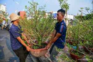 Bustling Opening of Binh Dong Floating Flower Market in Saigon - image 11