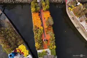 Bustling Opening of Binh Dong Floating Flower Market in Saigon - image 6
