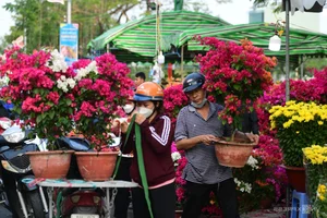 Bustling Opening of Binh Dong Floating Flower Market in Saigon - image 4
