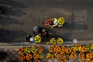 Bustling Opening of Binh Dong Floating Flower Market in Saigon - image 8