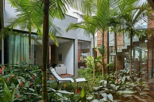 Why Wealthy Homeowners Always Place Two Potted Plants at Their Front Entrance - image 4