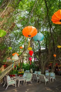 Tropical Riverside Escape: A Lush Forest Resort Near Ho Chi Minh City - image 3