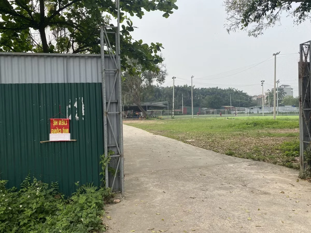 Exploring the Abandoned 15-Hectare Ecological Zone in the Heart of Hanoi