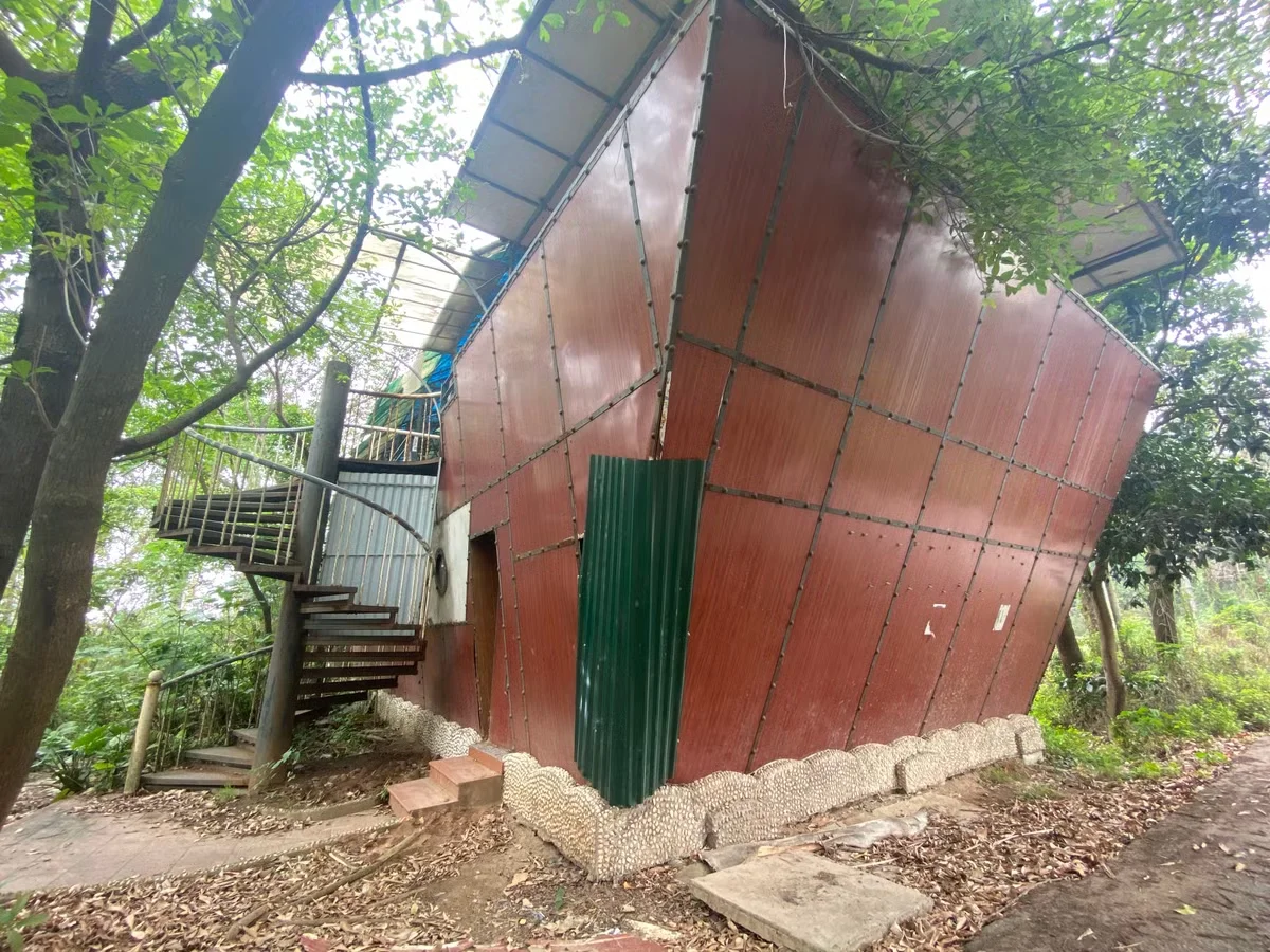 Exploring the Abandoned 15-Hectare Ecological Zone in the Heart of Hanoi