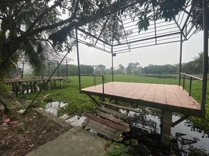 Exploring the Abandoned 15-Hectare Ecological Zone in the Heart of Hanoi - image 4