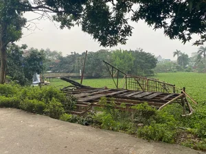 Exploring the Abandoned 15-Hectare Ecological Zone in the Heart of Hanoi - image 14
