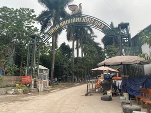 Exploring the Abandoned 15-Hectare Ecological Zone in the Heart of Hanoi - image 10