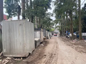 Exploring the Abandoned 15-Hectare Ecological Zone in the Heart of Hanoi - image 11