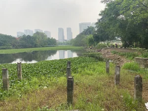 Exploring the Abandoned 15-Hectare Ecological Zone in the Heart of Hanoi - image 2