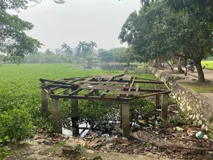 Exploring the Abandoned 15-Hectare Ecological Zone in the Heart of Hanoi - image 12