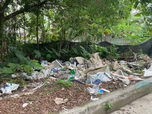 Exploring the Abandoned 15-Hectare Ecological Zone in the Heart of Hanoi - image 13