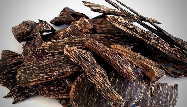 The World's Most Expensive Wood: Kynam Worth $100,000 Per Kilogram