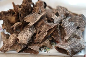 The World's Most Expensive Wood: Kynam Worth $100,000 Per Kilogram - image 3