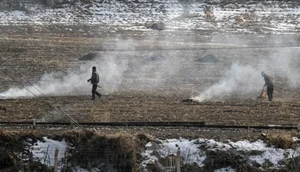 A Glimpse into North Korea: Daily Life Observed from the Chinese Border - image 0